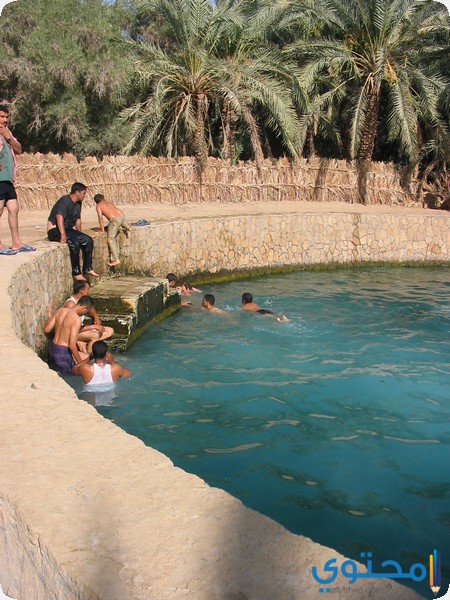علاجية-1.jpg
