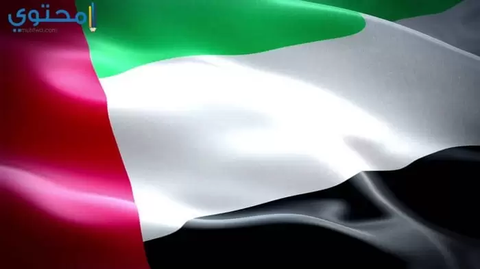 أروع صور العلم الإماراتي 