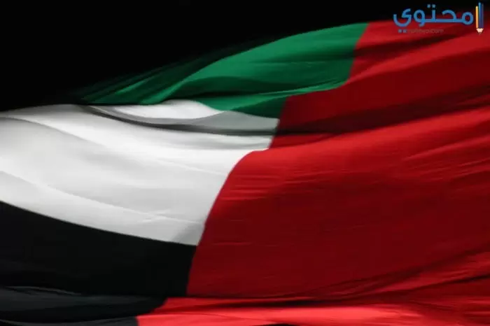 علم الإمارات 05