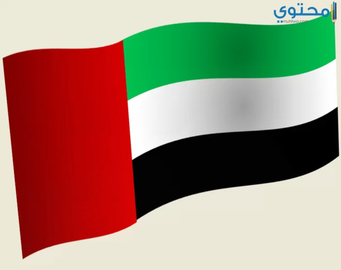 علم الإمارات 06