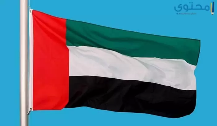 علم الإمارات 08