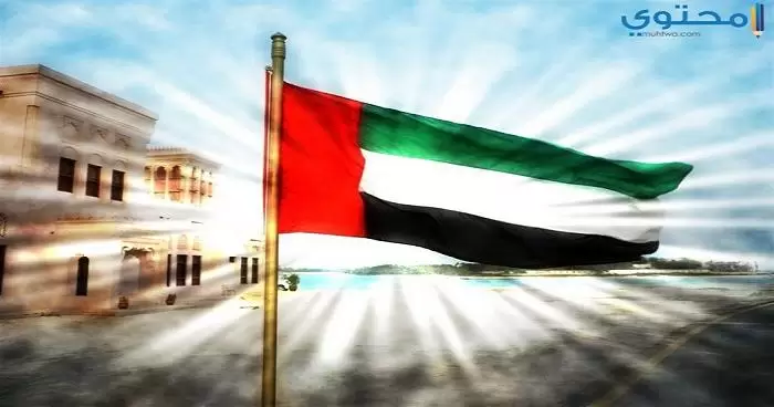علم الإمارات 12