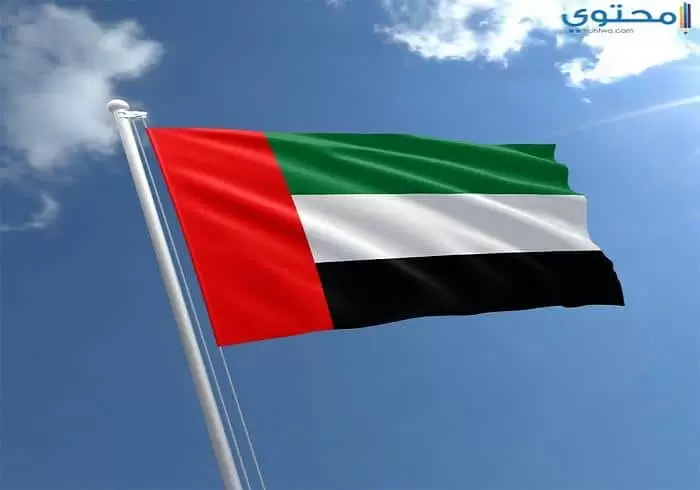 علم الإمارات 17