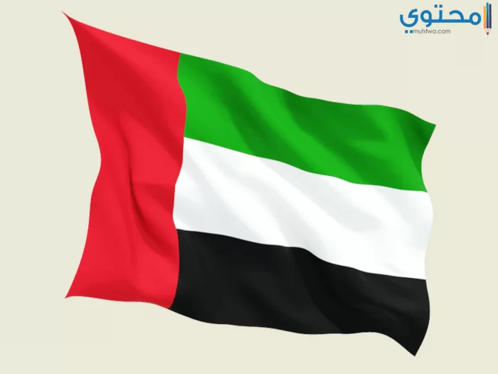 علم الإمارات 19
