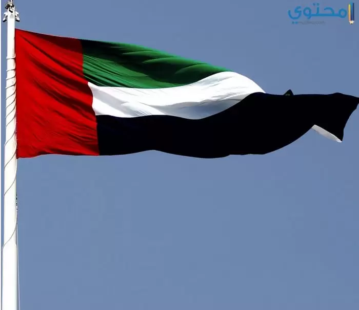 علم الإمارات 20