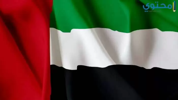 علم الإمارات 21