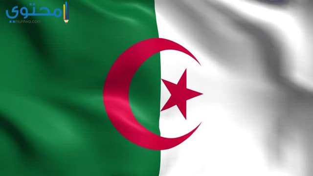 أروع الصور لعلم الجزائر 