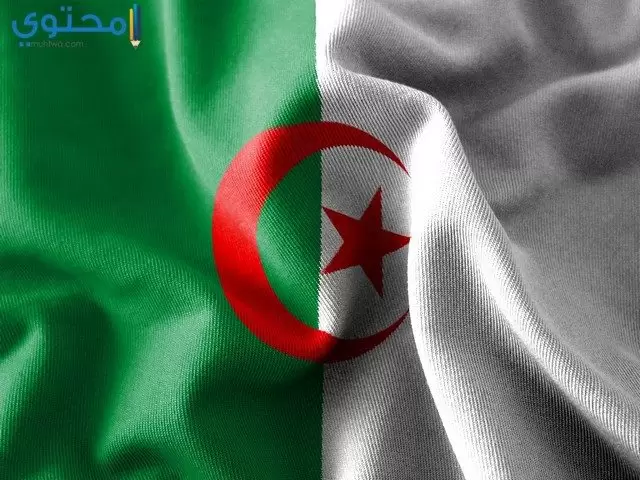 خلفيات فيس بوك علم الجزائر 