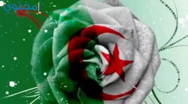أحدث خلفيات العلم الجزائري