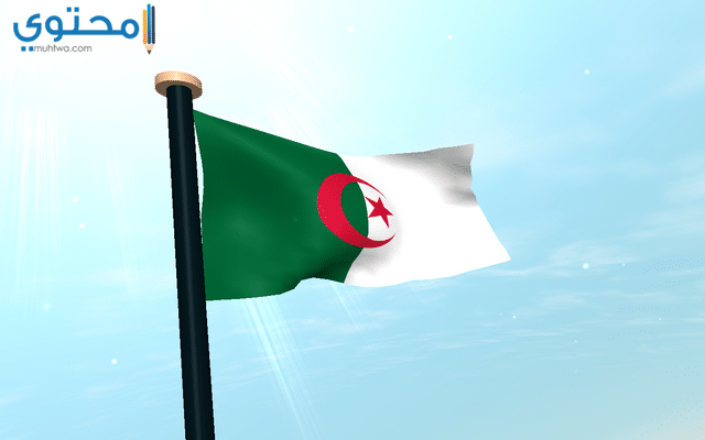 علم الجزائر الجديد