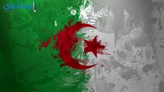 علم الجزائر للفيس بوك