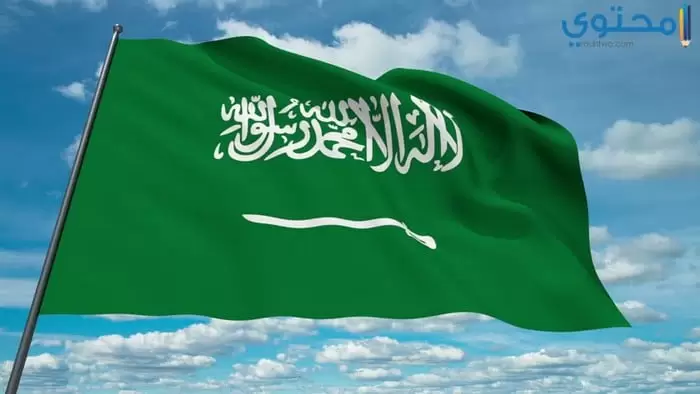 علم السعودية 01
