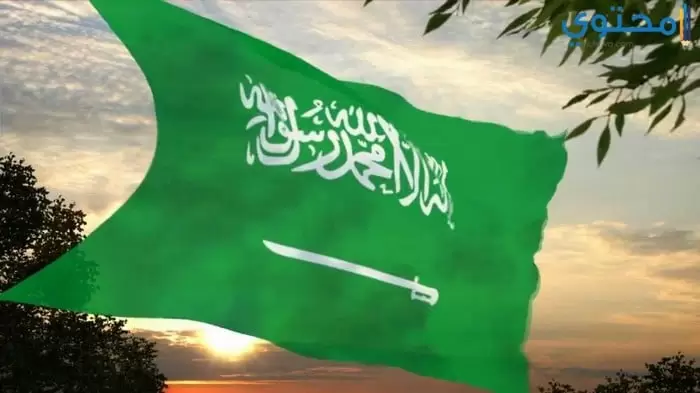 علم السعودية 11