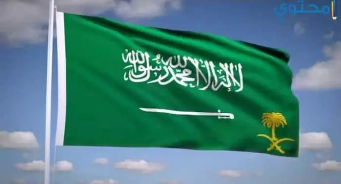 علم السعودية 12