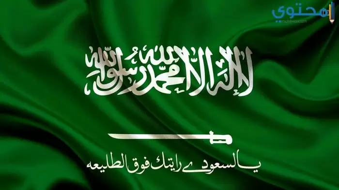 علم السعودية 14
