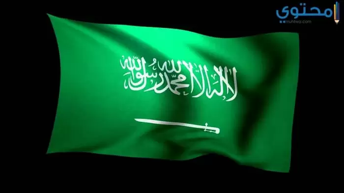علم السعودية 15