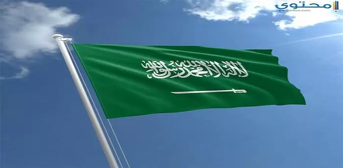 علم السعودية 18