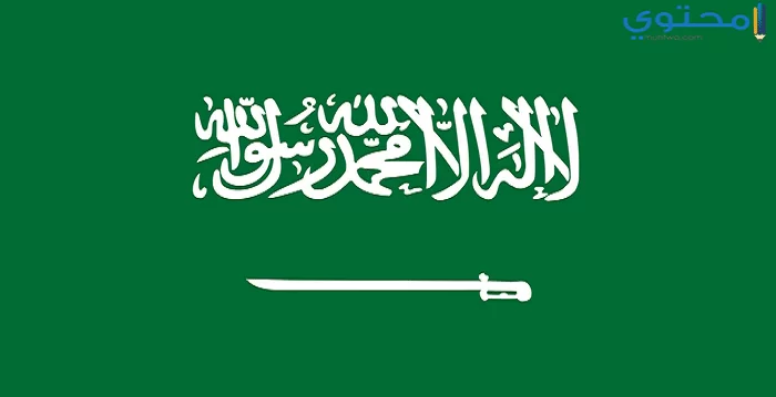 علم السعودية 21