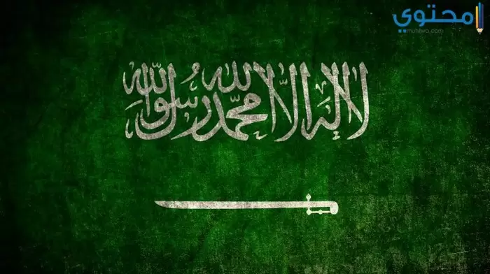 علم السعودية 22