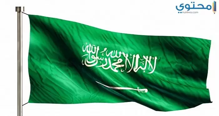علم السعودية 23