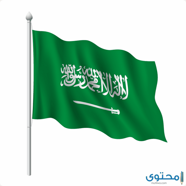 معنى علم المملكة العربية السعودية بالتفصيل