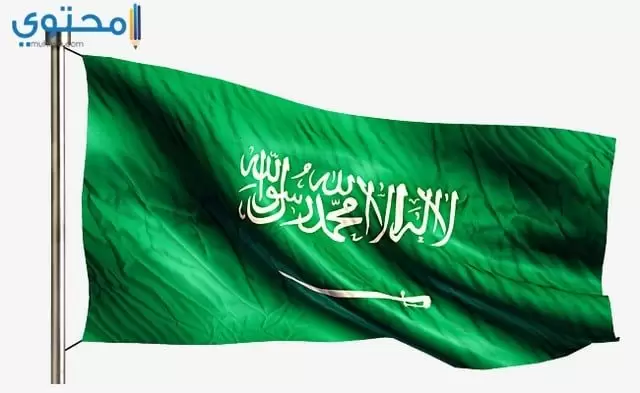 خلفيات عن علم السعودية