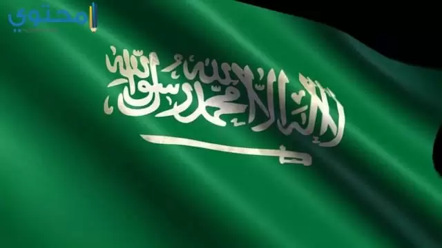 صور علم السعودية للفيس