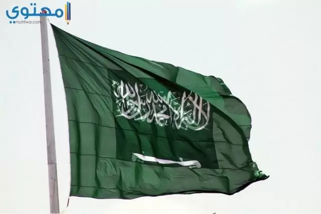 علم السعودية للفيس بوك