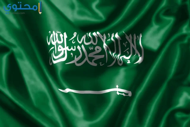 صور العلم السعودي 