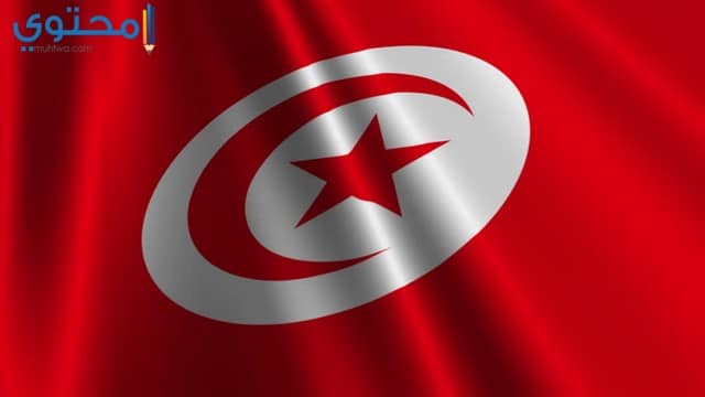 علم تونس للفيس بوك