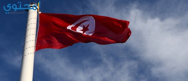 علم تونس الجديد