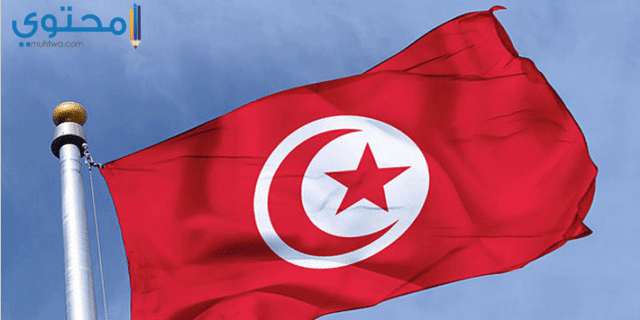 أجمل خلفيات علم تونس