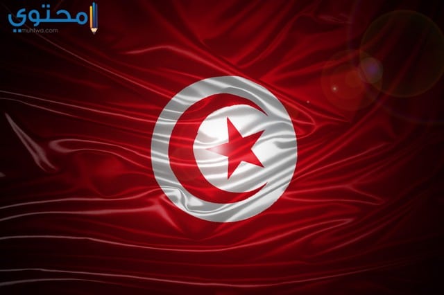 خلفيات علم تونس للأيباد