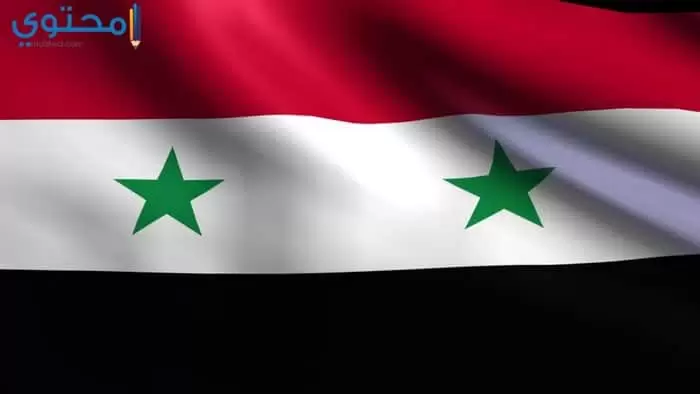 علم سوريا 17