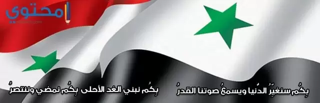 علم سوريا05