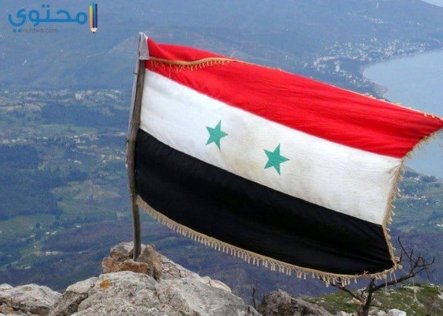 رمزيات علم سوريا الجديد للبلاك بيري