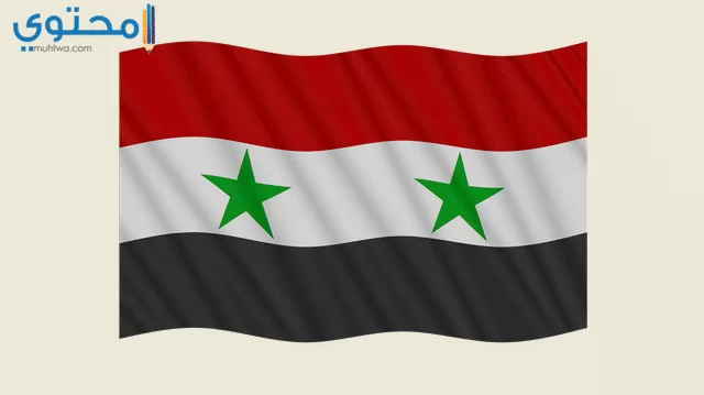 علم سوريا2