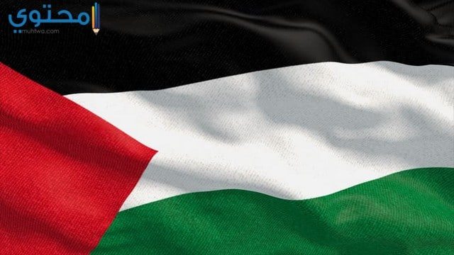 صور ورمزيات العلم الفلسطيني 
