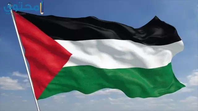 سورة علم فلسطين