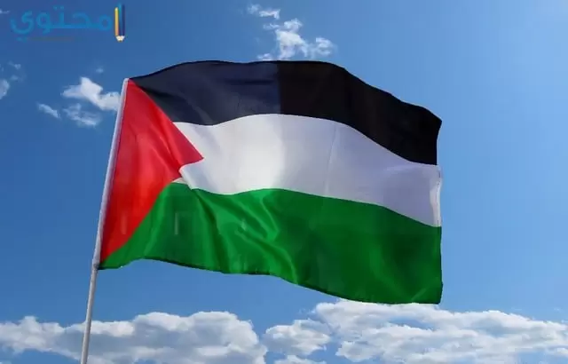 أحدث صور علم فلسطين