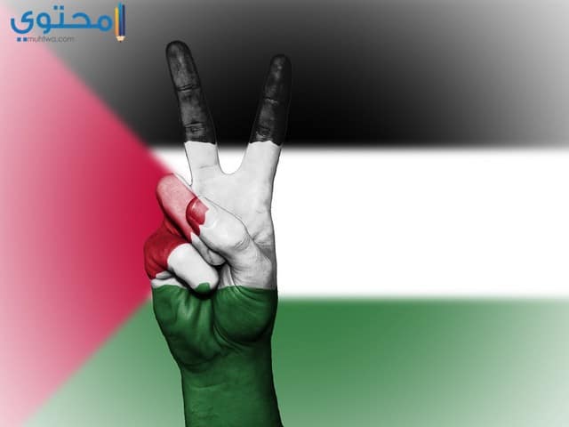 صور العلم الفلسطيني للفيس بوك 