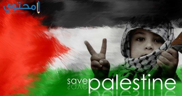 علم فلسطين فيس بوك