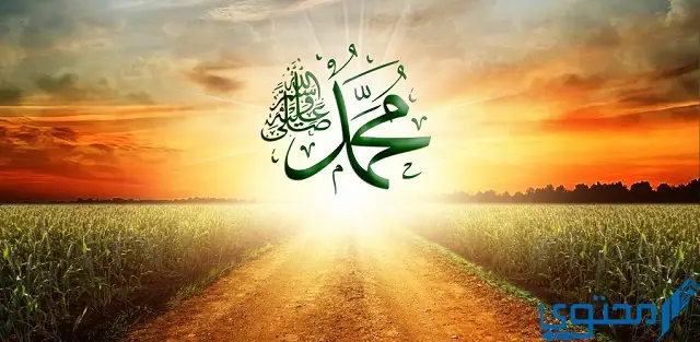 عليه أفضل الصلاة والسلام بالتشكيل .