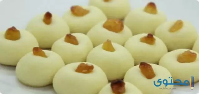 الغريبة1