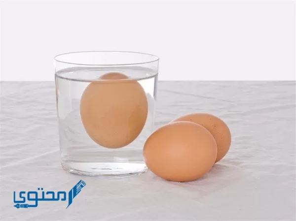 عند وضع بيضة مسلوقة ساخنة في كوب من الماء البارد