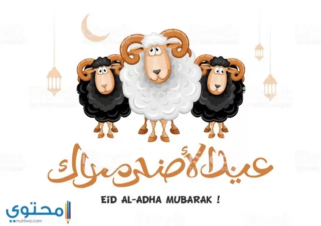 اجمل خلفيات عيد الاضحى
