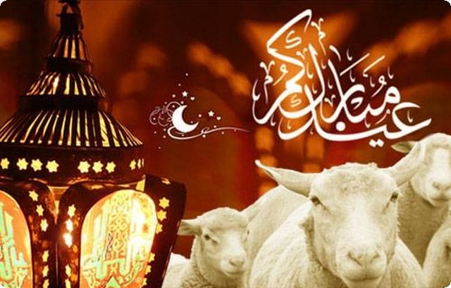 عيد-الاضحي5-1.jpg