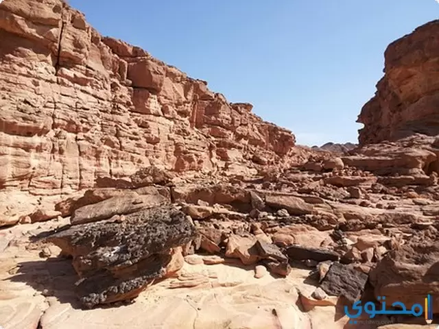 تحرير سيناء1