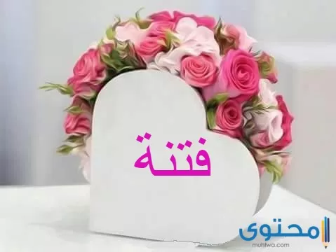 معنى اسم فتنة