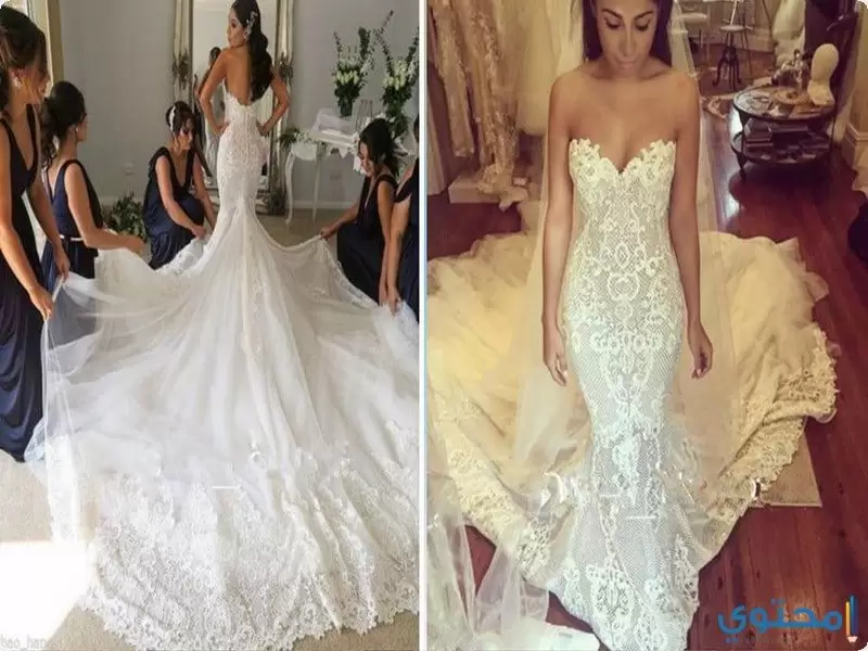 احدث صور فساتين زفاف ذيل السمكة 2023